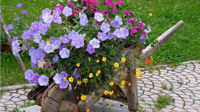 Тачка, возик з квітами Ідеї для дому смотреть онлайн