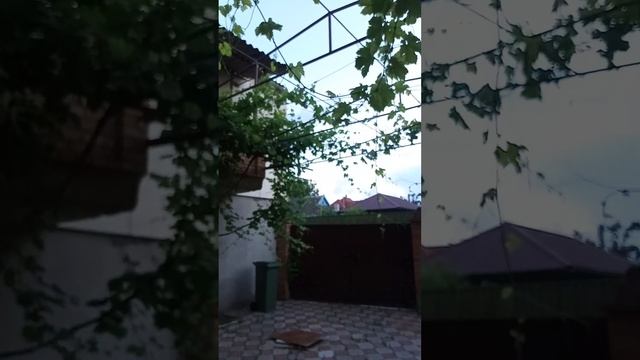 Виноградная арка в большом дворе смотреть онлайн