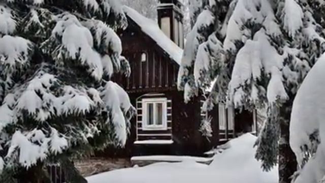 Дилижанс  "Снег  и елки"