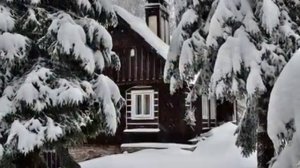 Дилижанс  "Снег  и елки"