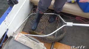 Рыбалка на Волге в октябре