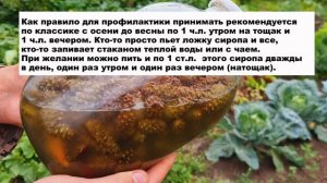 СТАРИННЫЙ БАБУШКИН РЕЦЕПТ от КАШЛЯ, ПРОСТУДЫ и многих НЕДУГ. Сироп из сосновых шишек (шишкин мед).