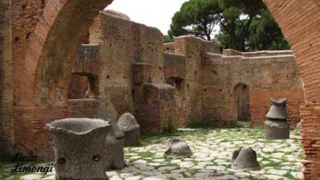 Como surgiu o pão ? - Lívia Limongi смотреть онлайн