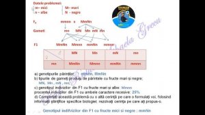 Rezolvare simulare bacalaureat biologie vegetala si animala martie 2023