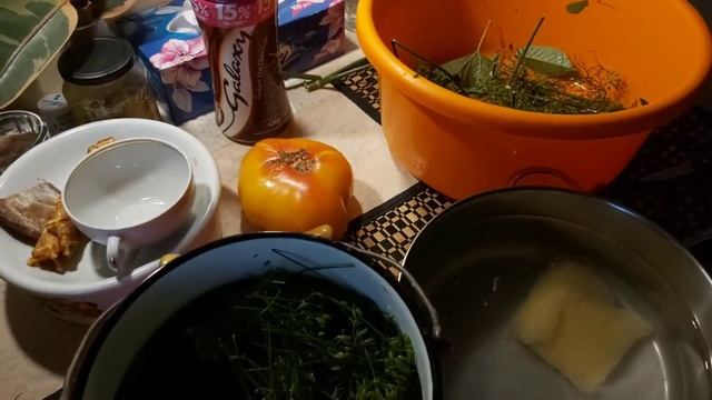 ГОТОВИМ МАЛОСОЛЬНЫЕ ОГУРЧИКИ смотреть онлайн