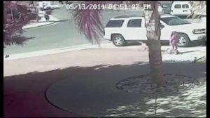 Кот защитил ребенка от собаки!