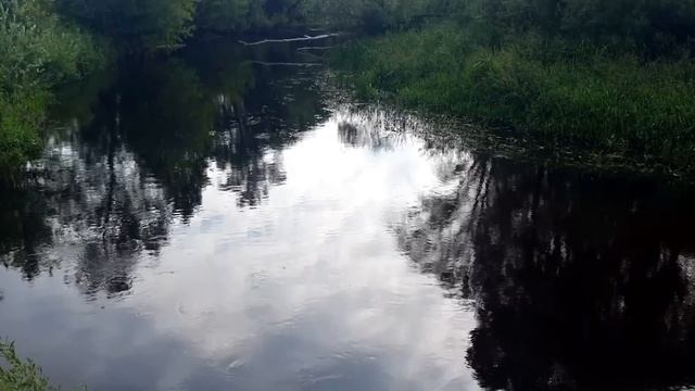 Прогноз клева рыбы с 3 по 9 Июля Календарь клева рыбы Лунный календарь рыбака