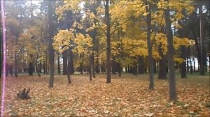 #Релакс Осенний парк.