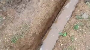 Не дорогой?? Дренаж Вокруг дома