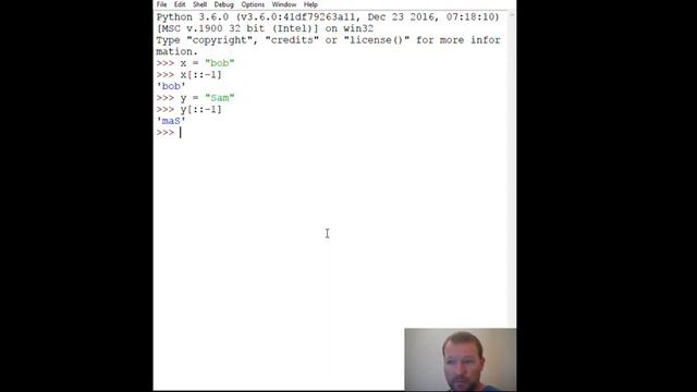 Python Basics String Palindrome