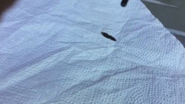 Сравнение моторного масла Лукойл и Репсол