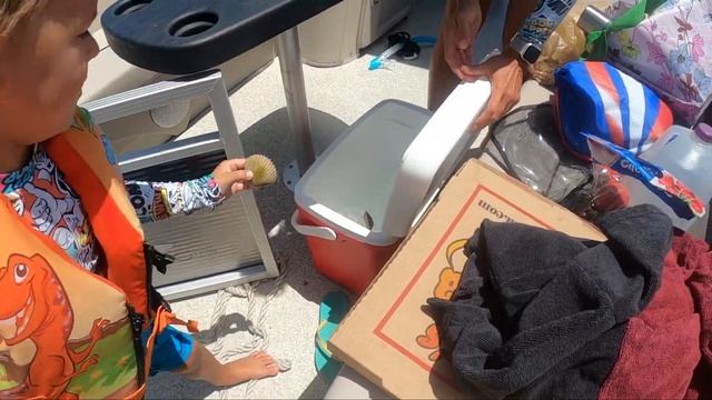 МОРСКИЕ ГРЕБЕШКИ - ЛОВИМ, РАЗДЕЛЫВАЕМ, ПРОБУЕМ ? Веселая морская прогулка по побережью Флориды ? смотреть онлайн