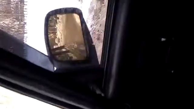 Бабка отрывает от асфальта дохлую кошку