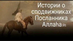 Истории сподвижников Пророка Мухаммада ﷺ