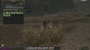 Spirit shaman Lineage 2