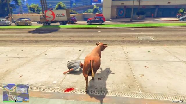 Как Играть за КРУТЫХ ЖИВОТНЫХ в ГТА 5 Моды! (Акула, Кот, Собака, Птица, Мышь...) смотреть онлайн