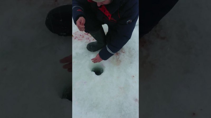 На пасту