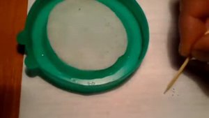 Замачиваем семена литопсов