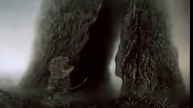 ЇЖАЧОК У ТУМАНІ смотреть онлайн