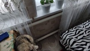 БЮДЖЕТНО 57 труба на ОТОПЛЕНИЕ В ДЕРЕВЕНСКОМ ДОМЕ  ( лучше ещё не придумали ) ??❄️☃️?❤️...