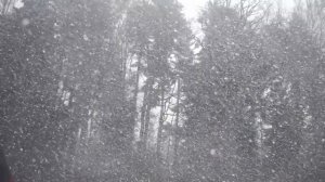 Падающий снег. Falling snow.#МузыкальныйСтранник!#Премьера!!!