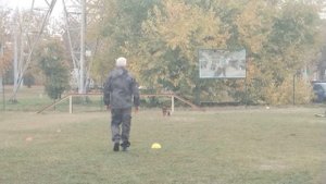 1Баларис ЭКСТРА, состязания по ОКД, зима 2022