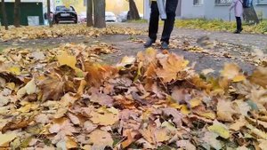 Аккумуляторная воздуходувка Karcher LBL 4 Battery