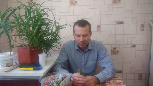 Стимуляторы роста растений своими руками.Сок этого растения богат витаминами и аминокислотамиСтимуля смотреть онлайн