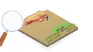 Безопасный способ борьбы с саранчой | Green Muscle русский