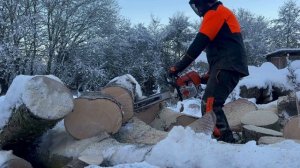 Stihl MS661 C Chainsaw cutting rounds for Firewood