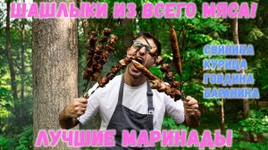 ШАШЛЫКИ ИЗ ВСЕХ ВИДОВ МЯСА!