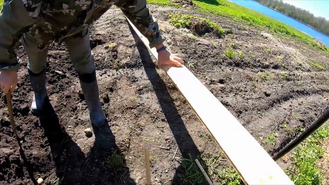 Сажаем картошку под лопату. Опыт посадки картофеля под мульчу и солому