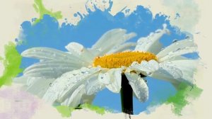 Природа Алтайского края