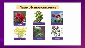 Биология. 7 класс. Строение цветка. Цветение и опыление. Виды опыления