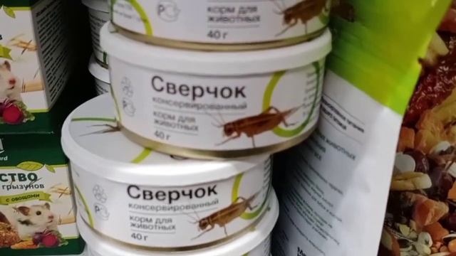 Корма в зоомагазине 4 лапыменя удивившие