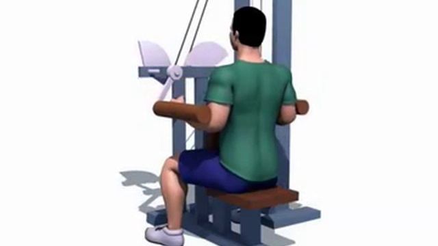 Отведение рук в тренажере сидя смотреть онлайн