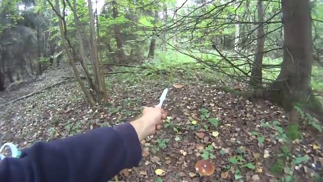 ПОНОЖОВЩИНА! Кладоискатель Белый Копатель! 1