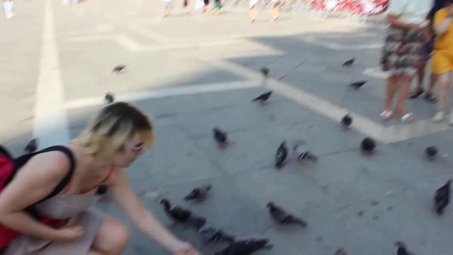 Венеция достопримечательности - голуби на Сан Марко смотреть онлайн