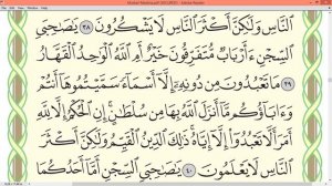 Шейх Айман Сувейд сура Юсуф стр 240