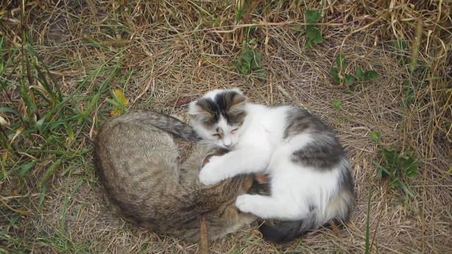 Отстань, милый, у меня болит голова смотреть онлайн