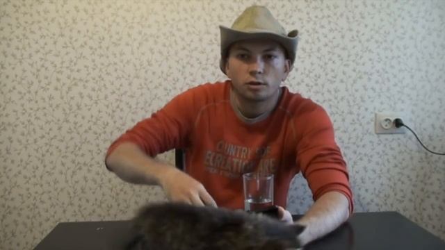 MINELAB EQUINOX - Металлоискатель НОВИНКА 2017 от Минелаб! Убийца или Жертва? смотреть онлайн