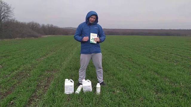 Биостимулятор роста Стимпо на Кукурузу. Стимулятор роста Стимпо с микроэлементами на Зерновые 25мл.