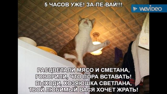 Веселое слайд-шоу) смотреть онлайн