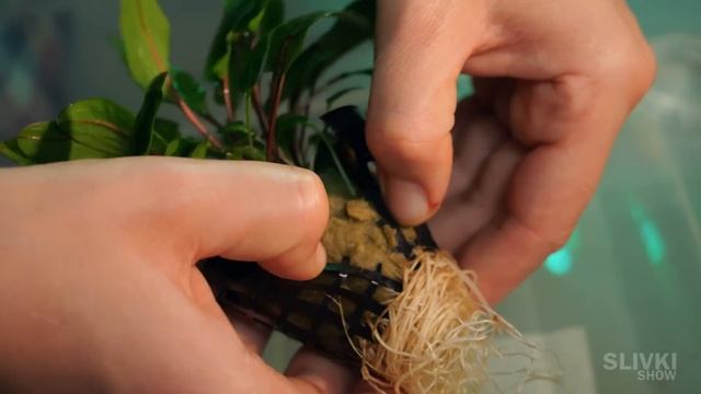 МЫ КУПИЛИ АКВАРИУМ ИЗ БУДУЩЕГО НА ALIEXPRESS смотреть онлайн