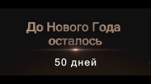 До нового года осталось  - 50 дней