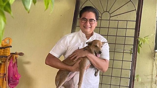 Собака разбудила женщину кусая её за ухо, это спасло всю семью... смотреть онлайн