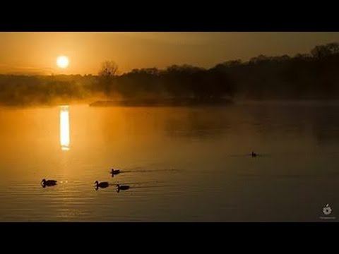ОСНАСТКА ДЛЯ ОХОТЫ НА УТОК. Вся утка ваша! смотреть онлайн