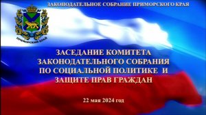 Заседание комитета по социальной политике и защите прав граждан