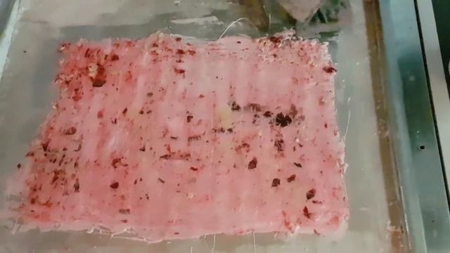 Мороженое ЖАРЕНОЕ КЕДРОВЫЙ ОРЕХ + ВИШНЯ ! мороженое из Таиланда в ЯЛТЕ!