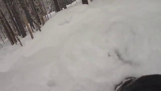 Небольшой спуск на лавине с горы на жопе. ) смотреть онлайн